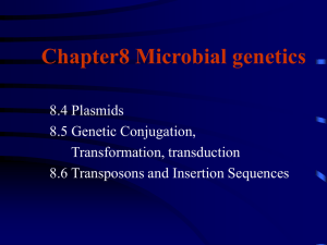 Chapter 7 Microbial Genetics