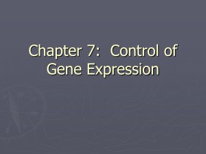 Chapter 7 Control of Gene Expression
