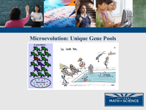 01 Microevolution Unique Gene Pools and