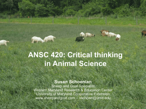 ANSC 420: Critical thinking in Animal Science SMALL RUMINANTS
