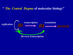 Chapter 11. RNA synthesis and processing (P169, sP841)