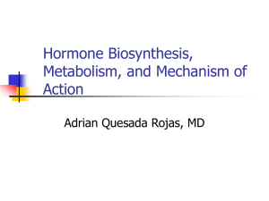 Hormone Biosynthesis, Metabolism, and Mechanism