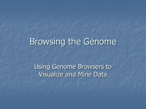 Browsing the Genome