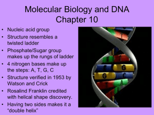 Molecular Biology and DNA