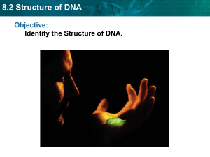 8.2 Structure of DNA