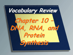 Chapter 10 Vocabulary Review