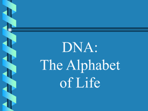 DNA-The Alphabet of Life