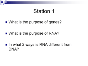 RNA - jpsaos