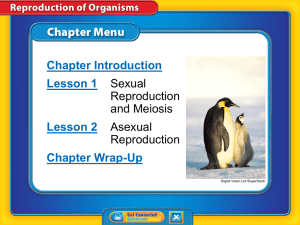 4-1 summary sexual reproduction and meiosis