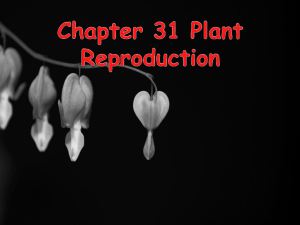 Chapter 31 Plant Reproduction