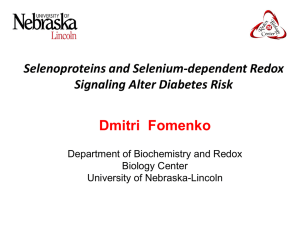 2.1 To determine the roles of Se and selenoproteins in ER stress