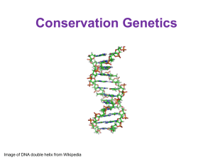 Conservation of Genetic Diversity