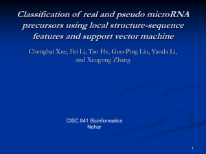 Classification of real and pseudo microRNA precursors using local