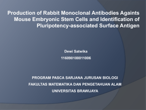 Review Journal-Produksi Antibodi Monoklonal