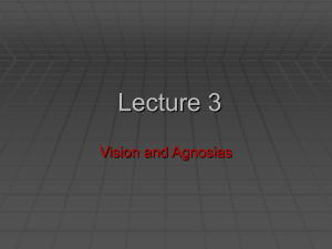 Lecture 4 - vision