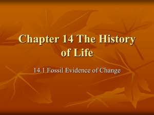 Ch 14 History of Life