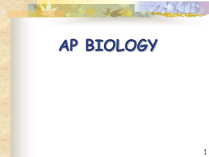 AP Biology Power Point
