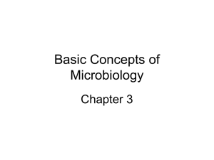 basic concepts of micro