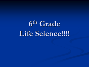 6th Grade Science Review