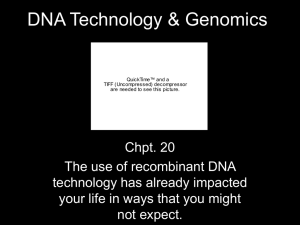 Lecture Chpt. 20 DNA Technology & Genomics