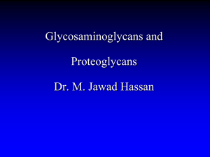 GAGs_Dr. M. Jawad Hassan