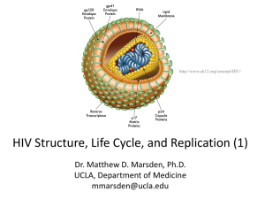 January 8, 2014 - HIV Structure, Lifecycle and Replication