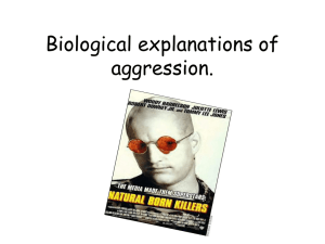 Biological explanations of aggression.Genetic