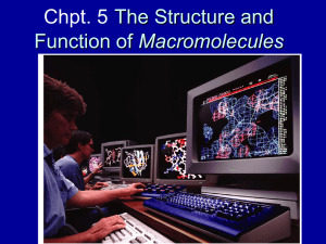 Lecture Chpt. 05 Macromolec