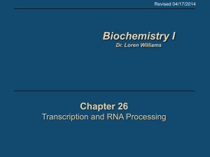 26 DNA Transcription - School of Chemistry and Biochemistry