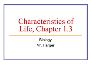 Characteristics of Life, Chapter 1.3
