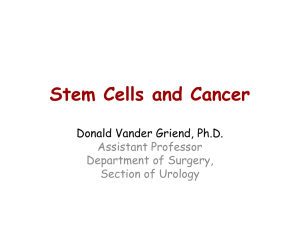 Stem Cells and Cancer