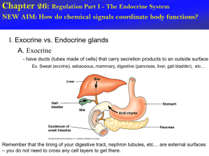 Chapter 45 - Endocrine