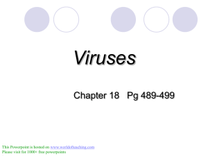 Viruses & Bacteria