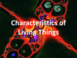 Characteristics of Living Things