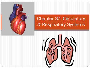 Chapter 37 circulation and respiration hya
