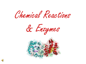 10.1-BIO-CHEM-Enzymes.Introduction
