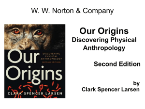 Our Origins DISCOVERING PHYSICAL ANTHROPOLOGY