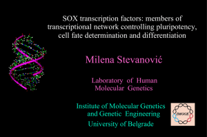 SOX transcription factors - AIS3