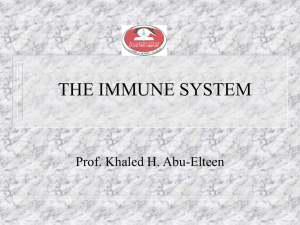 Lecture 8- Immunity