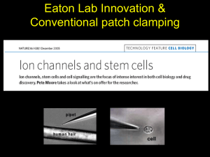 Eaton Lab Innovation and Conventional Patch Clamping