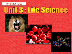 File - Mrs. Kinney`s Flipped out Science