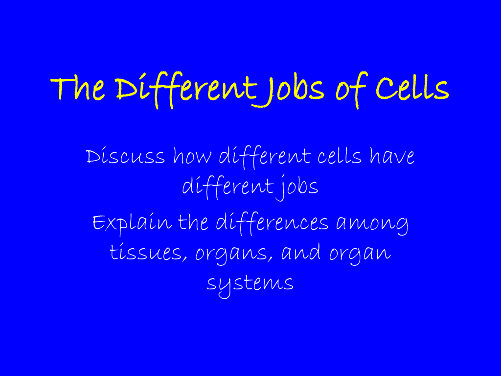 What different jobs do cells have