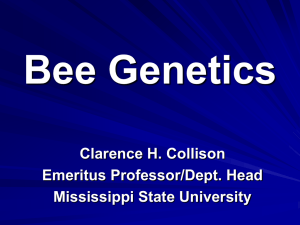 Advanced Bee Biology