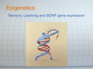 Epigenetics - Current Issues in Human Genetics