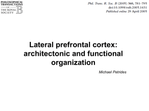 Lateral prefrontal cortex: architectonic and functional organization