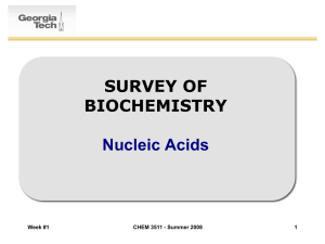 Survey of biochemistry Nucleic Acids