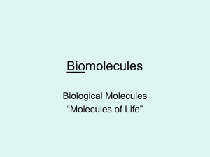 Biomolecules - Fall River Public Schools