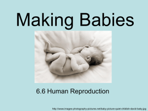 6.6 Making Babies