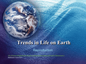 Trends in Life on Earth
