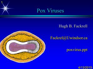 Pox Viruses